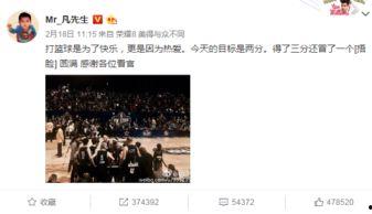 周一爆料预告视频,揭秘神秘事件，悬念重重引期待